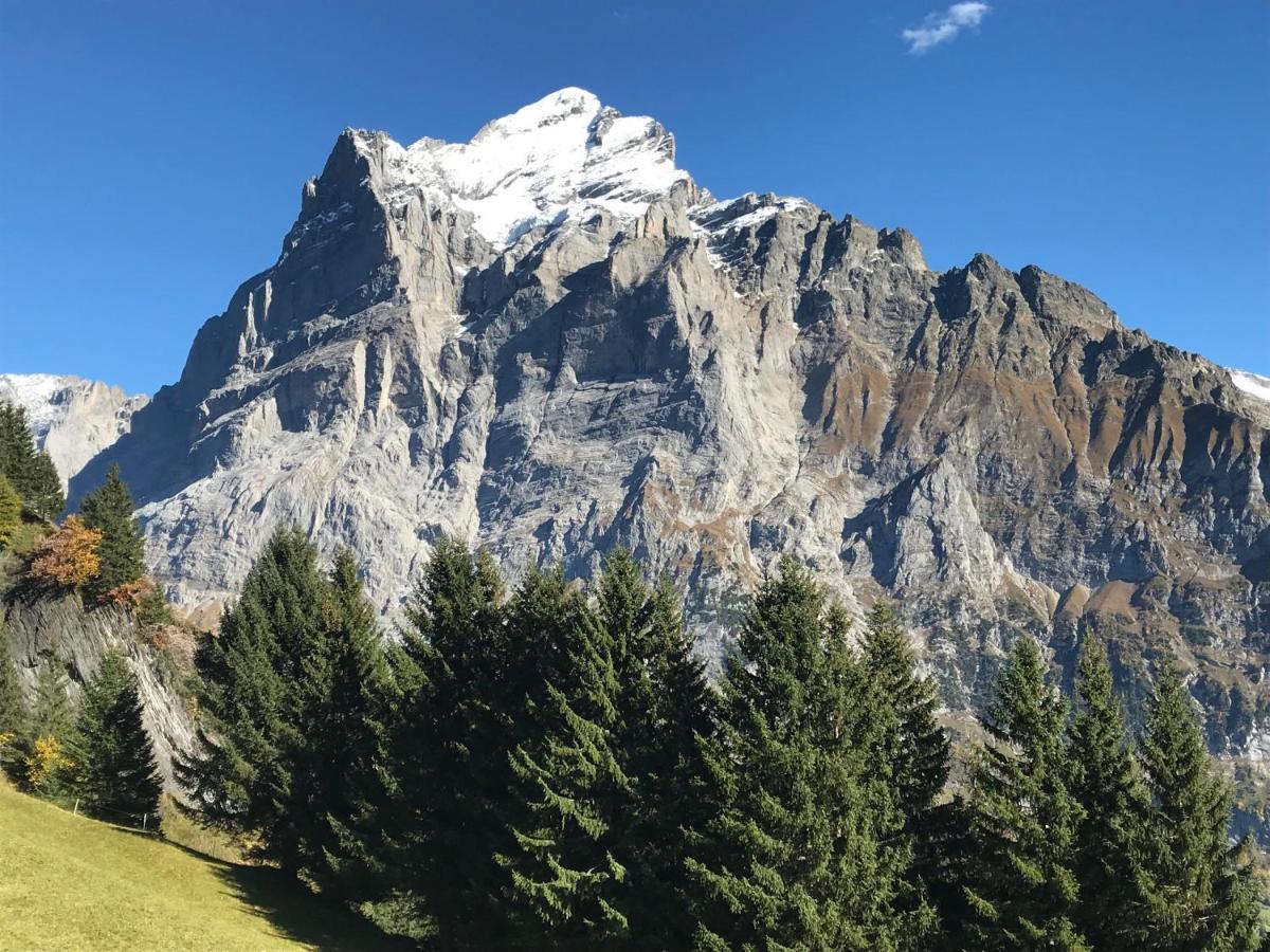 Chalet Sunneblick Grindelwald Dış mekan fotoğraf