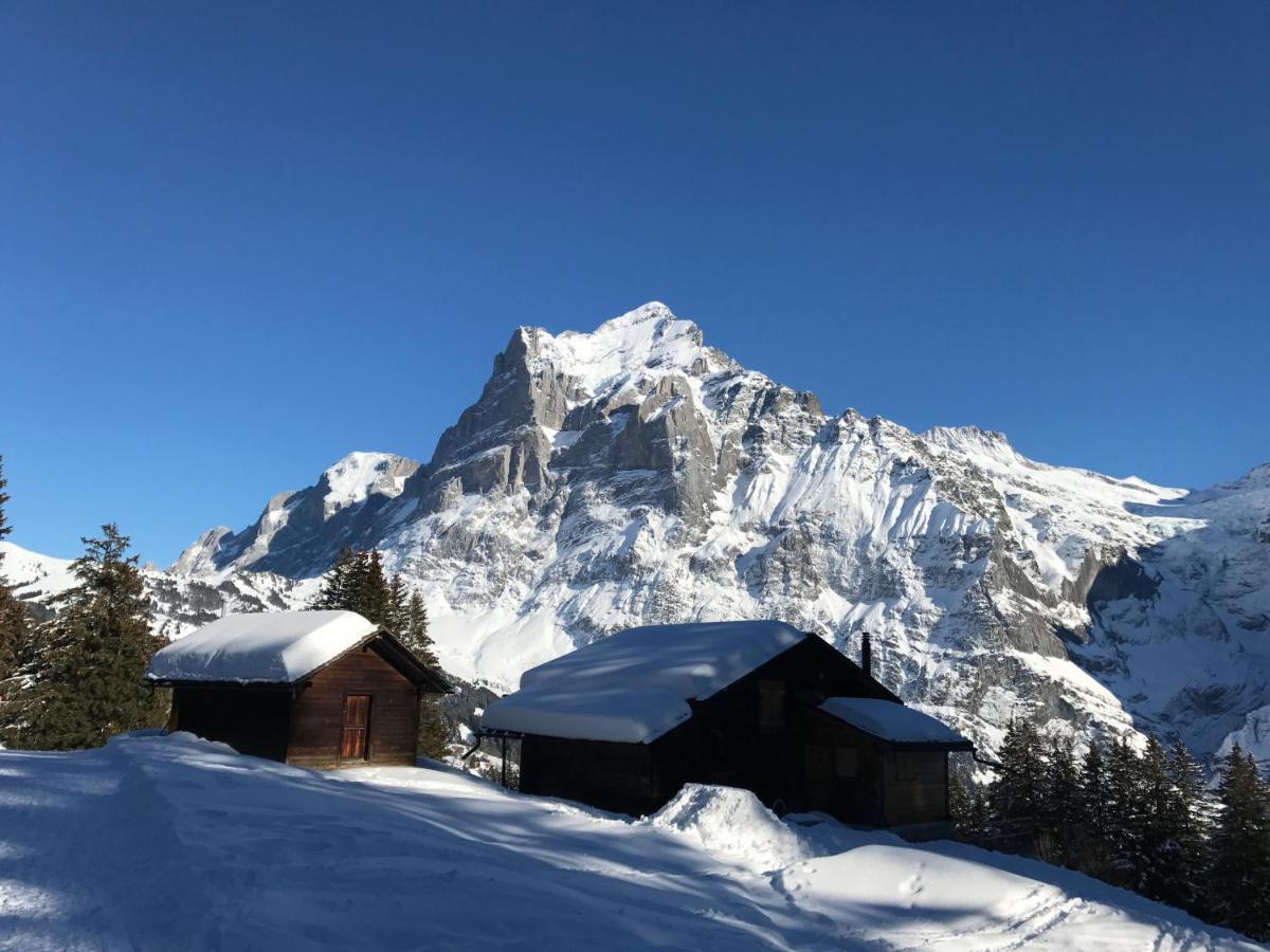 Chalet Sunneblick Grindelwald Dış mekan fotoğraf