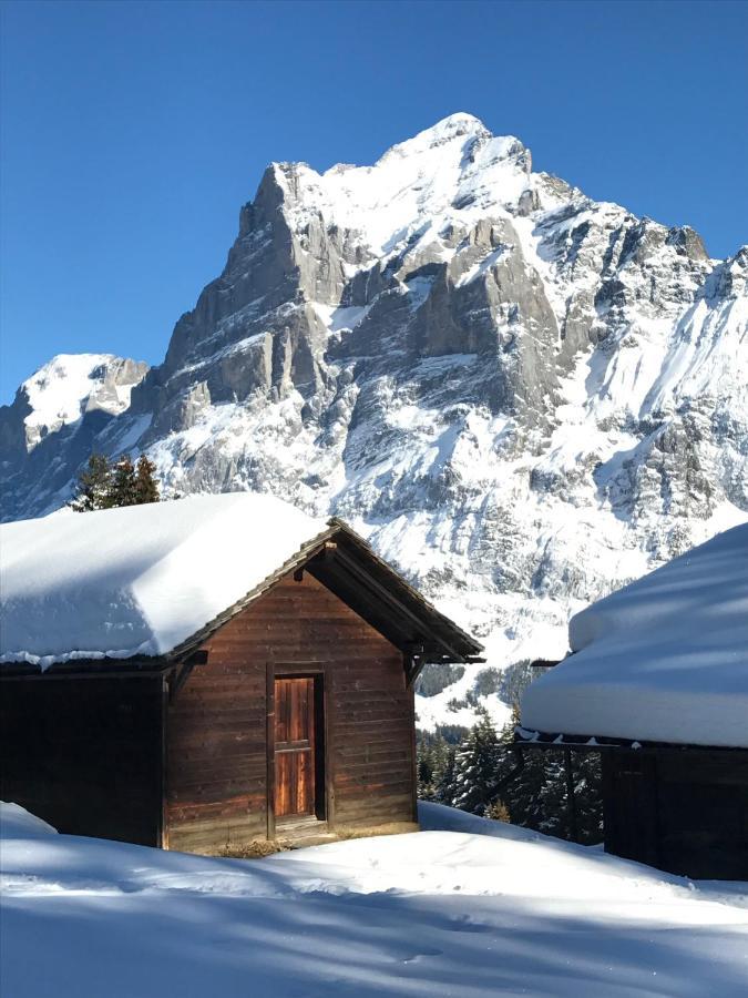 Chalet Sunneblick Grindelwald Dış mekan fotoğraf