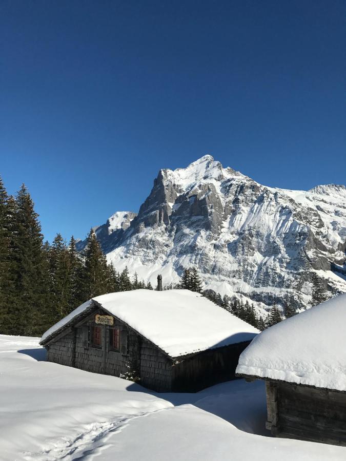 Chalet Sunneblick Grindelwald Dış mekan fotoğraf