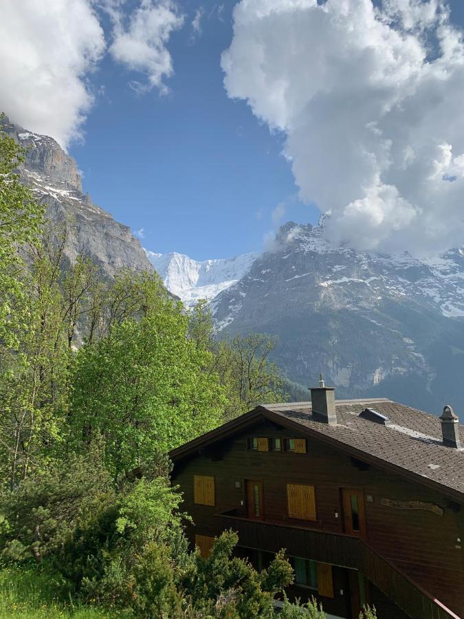 Chalet Sunneblick Grindelwald Dış mekan fotoğraf